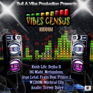 Vibes Census Riddim