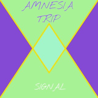 Amnesia T.Rip