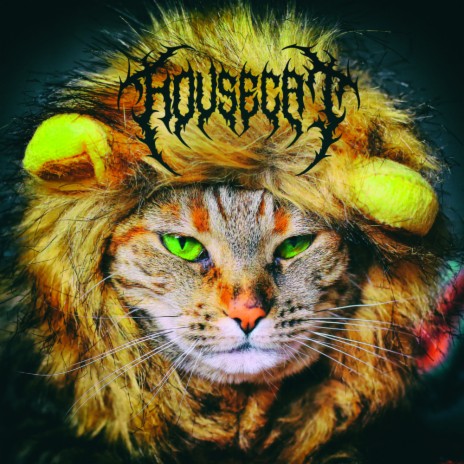 Housecat | Boomplay Music