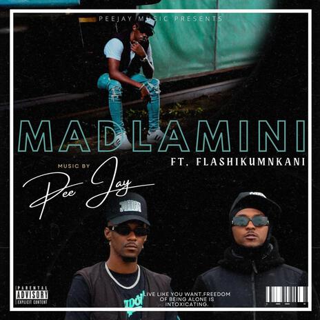 Madlamini ft. Flash Ikumkani | Boomplay Music