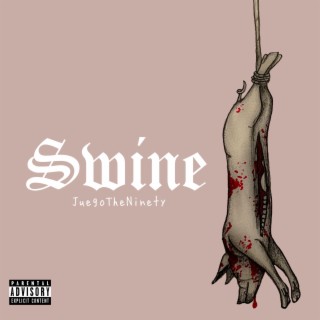 Swine