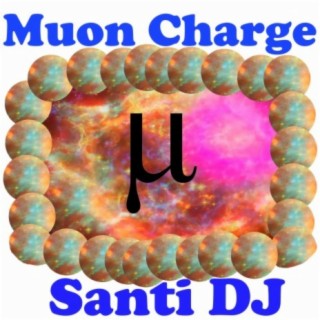 Muon Charge