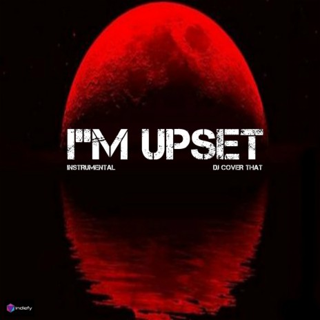 I'm Upset (Originally Performed By Drake) (Karaoke Version)