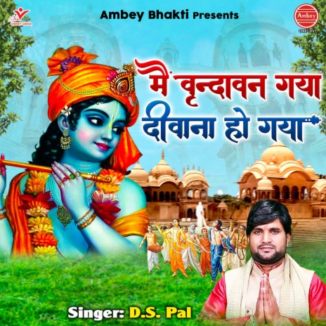 Main Vrindavan Gaya Deewana Ho Gaya | Boomplay Music