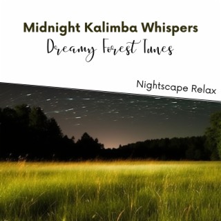 Midnight Kalimba Whispers: Dreamy Forest Tunes