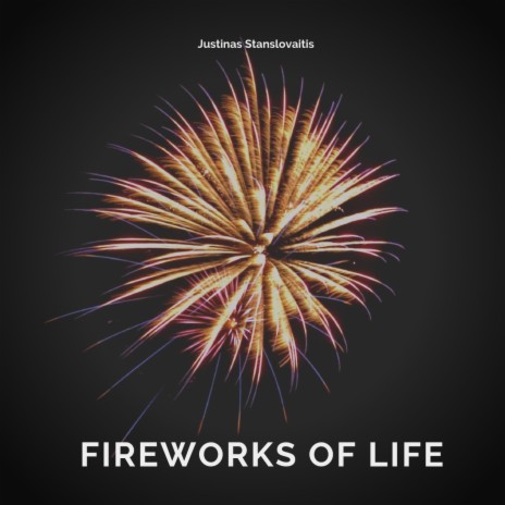 Fireworks of Life