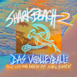 Das Volleyball: The Life and Death of Karl Sharx