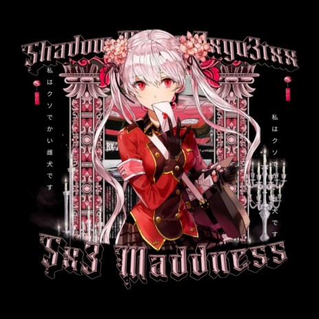 SX3 MADNESS (Slowed + Reverb) ft. Shadow - Plus