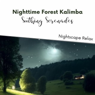 Nighttime Forest Kalimba: Soothing Serenades