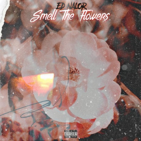 Smell the flowers | Boomplay Music