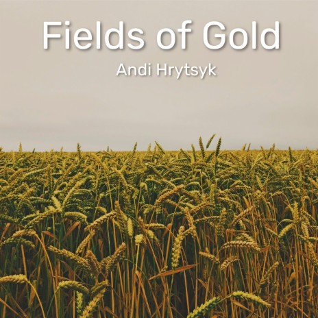 Fields Of Gold | Boomplay Music