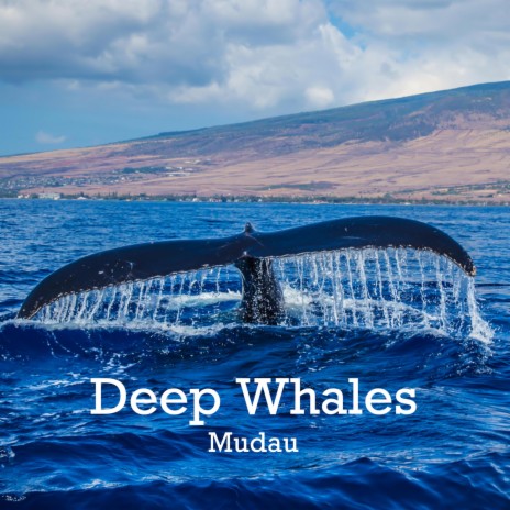 Deep Whales | Boomplay Music