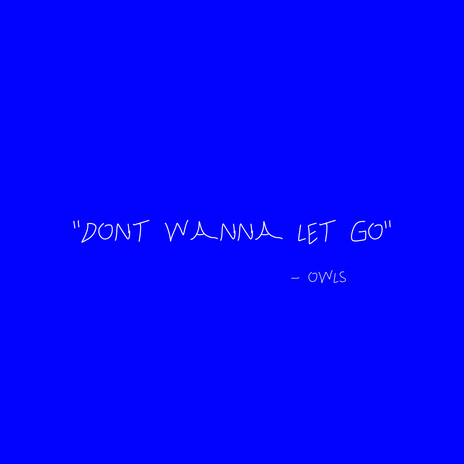 Don't Wanna Let Go | Boomplay Music