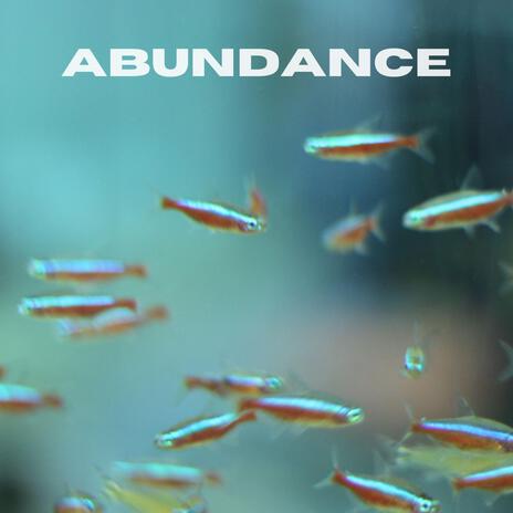 abundance | Boomplay Music