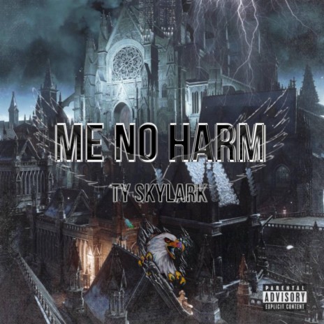 Me No Harm | Boomplay Music
