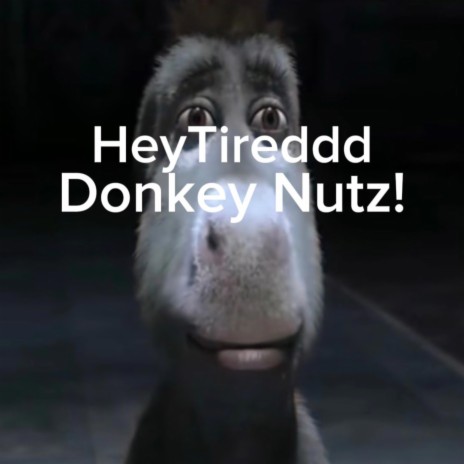 Donkey Nutz! | Boomplay Music