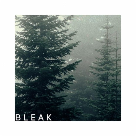 Bleak | Boomplay Music