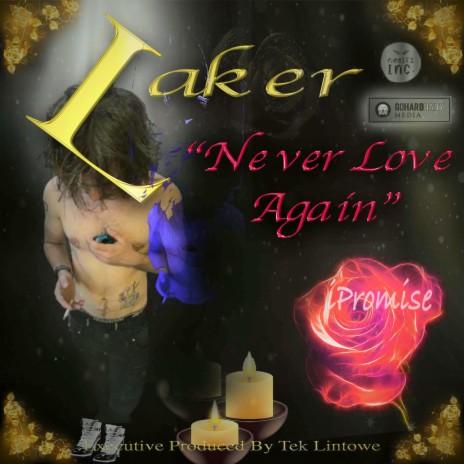 Never Love Again ft. Laker | Boomplay Music