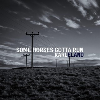 Some Horses Gotta Run