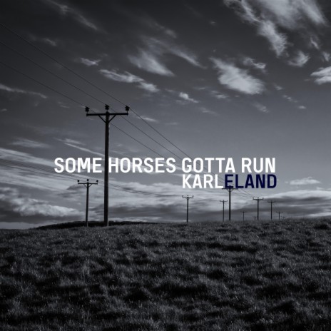 Some Horses Gotta Run | Boomplay Music