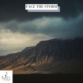 Face The Storm