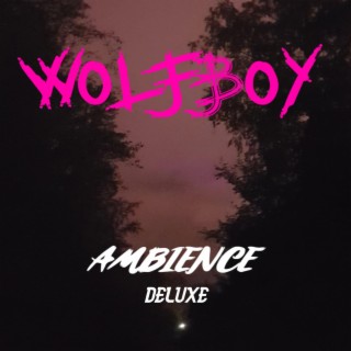 Ambience Deluxe