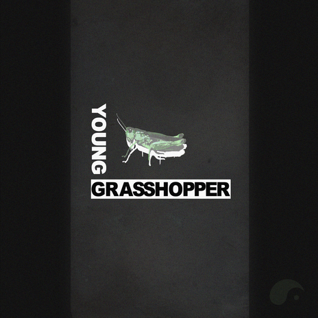 Young Grasshopper | Boomplay Music