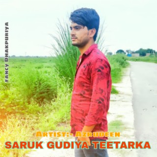 Saruk Gudiya Teetarka