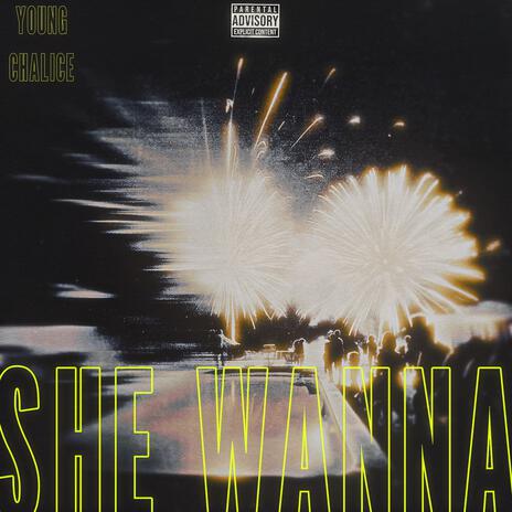 She Wanna | Boomplay Music