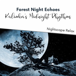 Forest Night Echoes: Kalimba's Midnight Rhythms