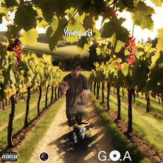 Vineyard