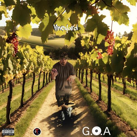 Vineyard | Boomplay Music