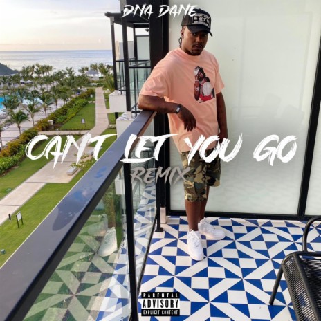 Cant Let You Go Remix
