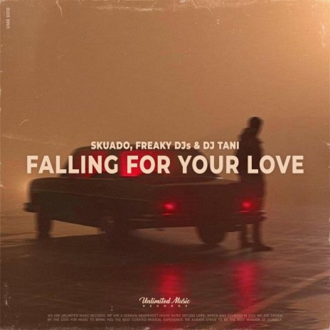 Falling For Your Love ft. Freaky DJs & dj tani | Boomplay Music