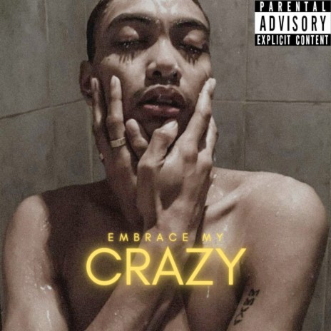 Embrace My Crazy | Boomplay Music