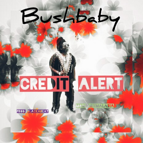 Credit Alert | Boomplay Music