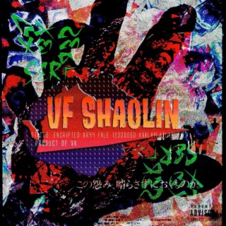 VF Shaolin