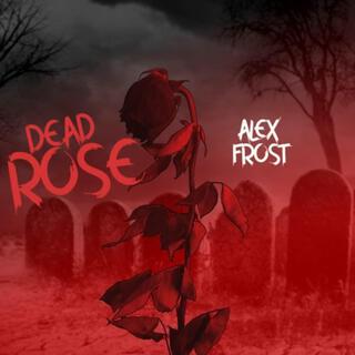 Dead Rose lyrics | Boomplay Music