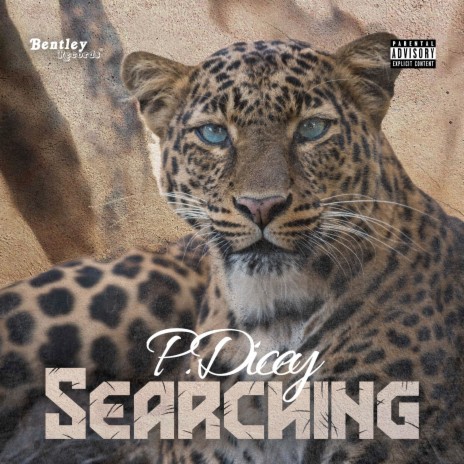 Searching | Boomplay Music