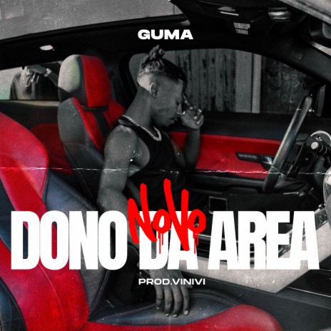 Novo Dono da Area ft. Vinivi | Boomplay Music