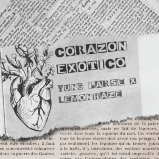 Corazon Exotico