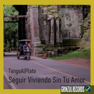 Seguir viviendo sin tu amor