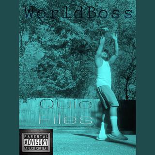 WorldBoss Quic Files