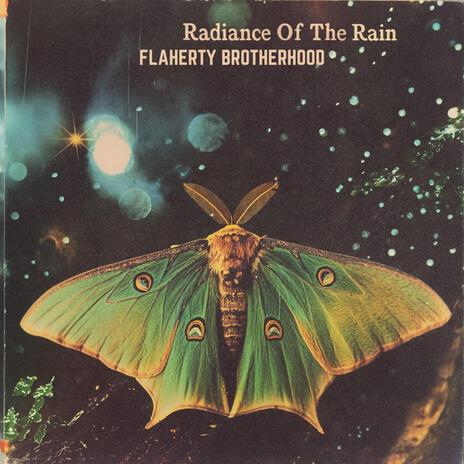 Radiance Of The Rain | Boomplay Music