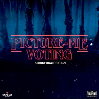 Picture Me Voting lyrics | Boomplay Music