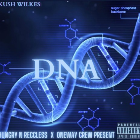 Dna | Boomplay Music