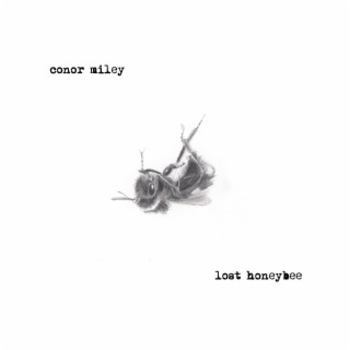 Lost Honeybee lyrics | Boomplay Music