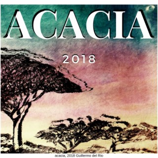 Acacia B (contribución)