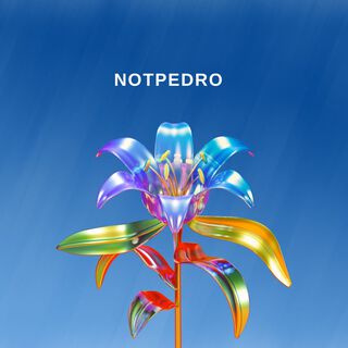 Notpedro