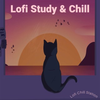 Lofi Study & Chill Music